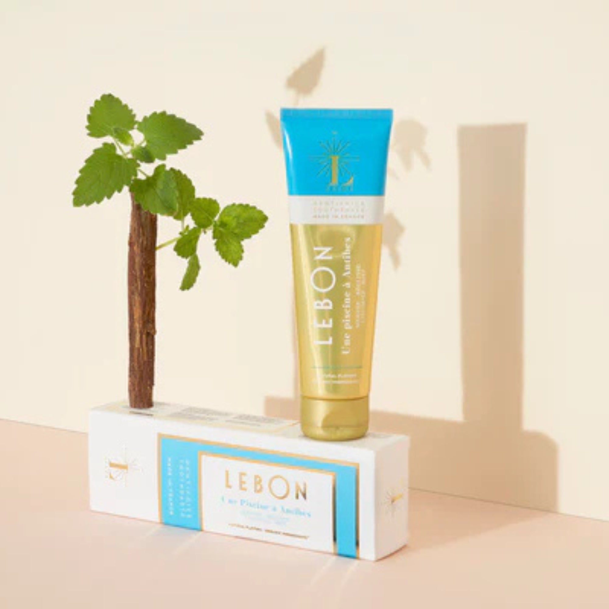 UNE PISCINE TO ANTIBES TOOTHPASTE